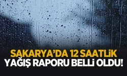 Sakarya'nın 12 saatlik yağış raporu