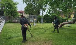 Sapanca’da park ve bahçelerde temizlik çalışması