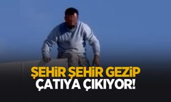 Şehir şehir gezip çatıya çıkıyor
