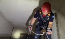 Apartman boşluğuna düşen yavru martı ekiplerce kurtarıldı