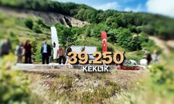 Kene ve kahverengi kokarcaya karşı 51 bin keklik ve sülün salınacak