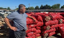 Kuru soğan tarlada 12 lira, pazarda markette 35-40 lira