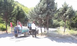 Arifiye’de Park ve Bahçeler ekipleri yaz mesaisine hız verdi
