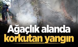 Adapazarı'nda ağaçlık alanda korkutan yangın