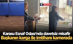 Karasu Esnaf Odası'nda davetsiz misafir: Başkanın karga ile imtihanı kamerada