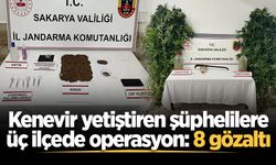 Kenevir yetiştiren şüphelilere üç ilçede operasyon: 8 gözaltı