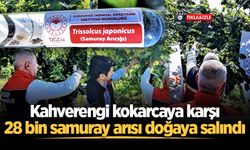 Sakarya’da kahverengi kokarcaya karşı 28 bin samuray arısı doğaya salındı