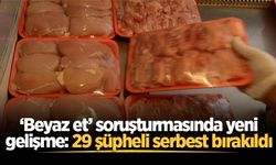 ‘Beyaz et’ soruşturmasında yeni gelişme: 29 şüpheli serbest bırakıldı