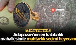 Adapazarı'nın en kalabalık mahallesinde muhtarlık seçimi heyecanı: 12 aday yarışacak