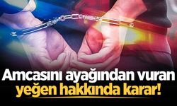 Akyazı'da amcasını ayağından vuran yeğen hakkında karar!
