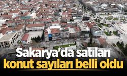 Sakarya'da Mayıs ayının konut satış istatistikleri açıklandı