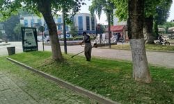 Hendek'te yeşil alanlarda temizlik çalışması