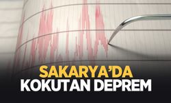 Sakarya'da hafif şiddetli deprem