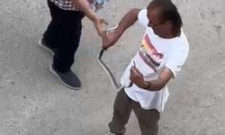 Paniğe sebep olan yılanı eliyle yakaladı