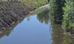 Sapanca Gölü Koruma Platformu’ndan Derbent Deresi için çağrı