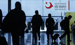 Türkiye'nin yurt dışı göç istatistikleri açıklandı
