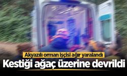 Ormanda feci olay! Kestiği ağaç üzerine devrildi, ağır yaralandı
