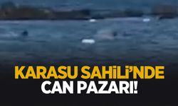 Karasu Sahili'nde can pazarı