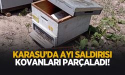 Karasu’da ayı saldırısı