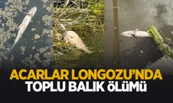 Acarlar Longozu'nda toplu balık ölümleri tedirginlik oluşturdu