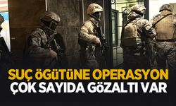 Suç örgütüne operasyon