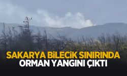 Sakarya- Bilecik sınırında orman yangını