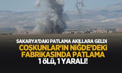 Coşkunlar'ın Niğde'deki havai fişek fabrikasında patlama: 1 ölü, 1 yaralı