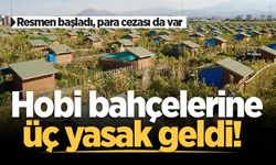 Resmi Gazete'de yayımlandı: Hobi bahçelerine üç yasak geldi! Para cezası da var