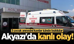 Akyazı'da kanlı olay! 3 çocuk annesini kanlar içinde buldular