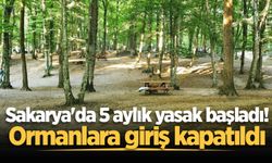 Sakarya'da 5 aylık yasak başladı! Ormanlara giriş kapatıldı