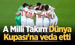 A Milli Takım Dünya Kupası'na veda etti