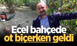 Bahçede ot biçerken fenalaştı, kurtarılamadı