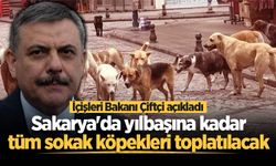 İçişleri Bakanı Çiftçi açıkladı: Sakarya'da yılbaşına kadar tüm sokak köpekleri toplatılacak