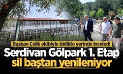 Serdivan Gölpark 1. Etap sil baştan yenileniyor! Başkan Çelik teknik ekibiyle sahaya indi
