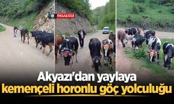 Akyazı'dan yaylaya kemençeli horonlu göç yolculuğu