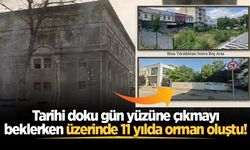 Tarihi doku gün yüzüne çıkmayı beklerken üzerinde 11 yılda orman oluştu!