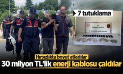 Hırsızlıkta boyut atladılar: 30 milyon TL'lik enerji kablosu çaldılar: 7 tutuklama