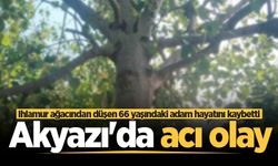 Akyazı’da ıhlamur ağacından düşen 66 yaşındaki adam hayatını kaybetti