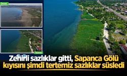 Zehirli sazlıklar gitti, Sapanca Gölü kıyısını şimdi tertemiz sazlıklar süsledi