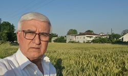 Buğdayda taban fiyat tepkisi