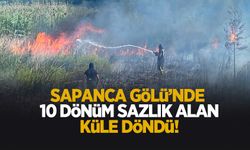 Sapanca Gölü sahilinde 10 dönüm sazlık yandı