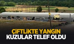Çiftlikte yangın kuzular telef oldu; Bin balya saman yandı