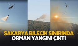 Sakarya- Bilecik sınırında orman yangını