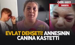 Adapazarı’nda evlat dehşeti iddiası: Ya beni öldürecek ya cezaevine girecek!