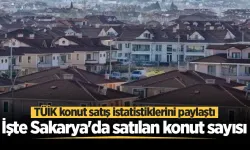 Sakarya'da Haziran ayında satılan konut sayısı belli oldu