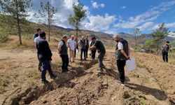 Geyve'deki yanan orman sahalarında ağaçlandırma çalışmaları incelendi
