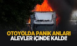 TEM'de seyir halindeki kamyon alevlere teslim oldu