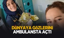 Ambulansta mucize doğum