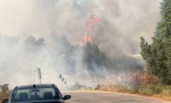 Çöplükte başlayan alevler ormana sıçradı