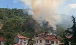 Kastamonu'da orman yangınında 40 dönümlük alan zarar gördü